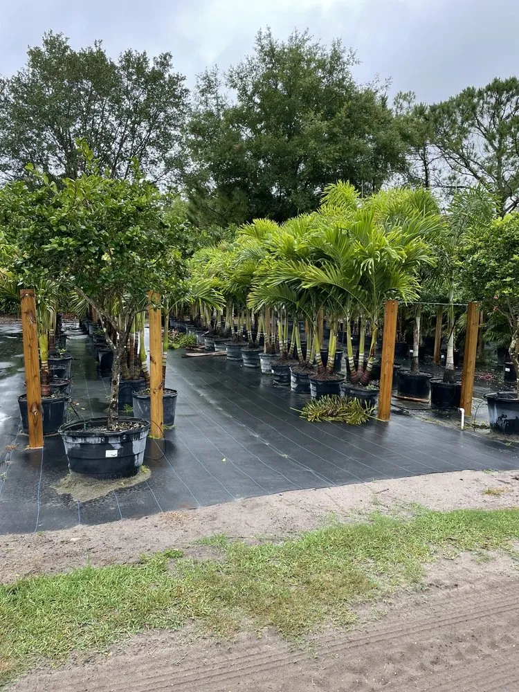 Affordable lawn mowing service in Orlando, FL - Sieffert's Nursery