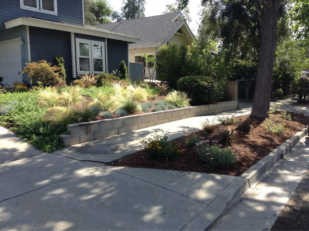 Reliable lawn care service in Los Angeles, CA - Siena Landscapes