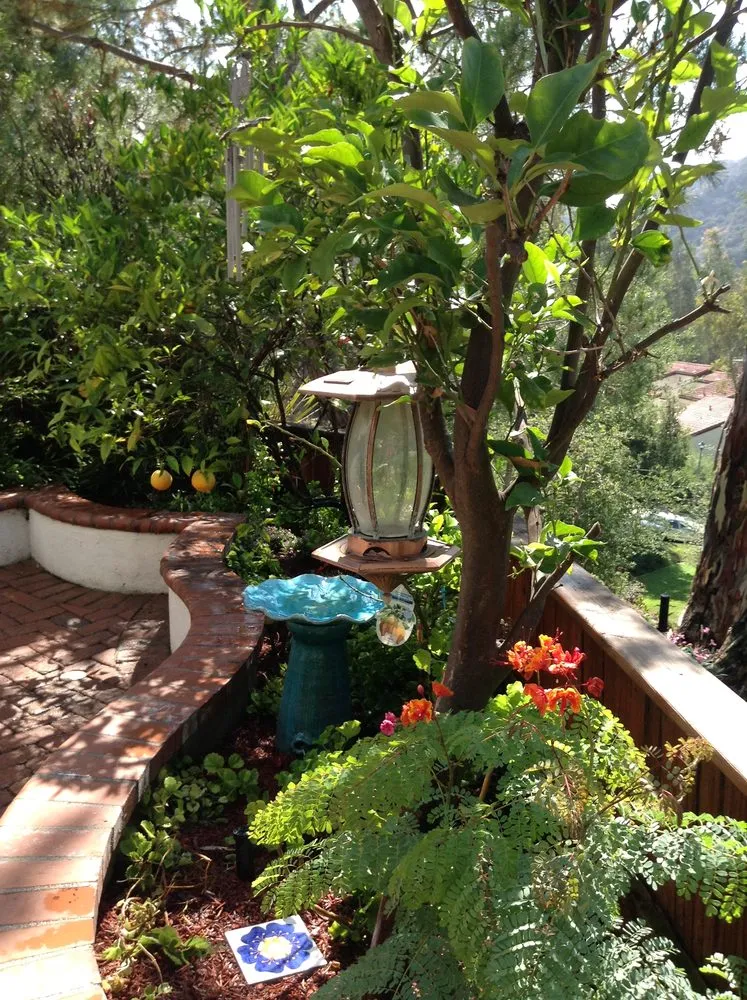 Professional lawn mowing service for homes across Los Angeles, CA - Siena Landscapes