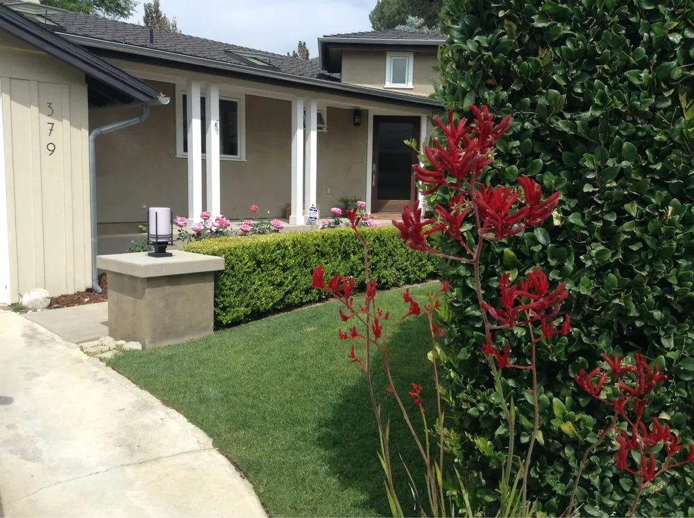 Local landscape installation with custom design across Los Angeles, CA - Siena Landscapes