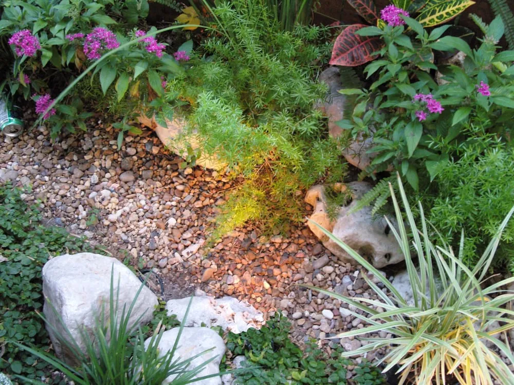 Reliable lawn mowing service in Houston, TX by Sienna Landscape & Design Company