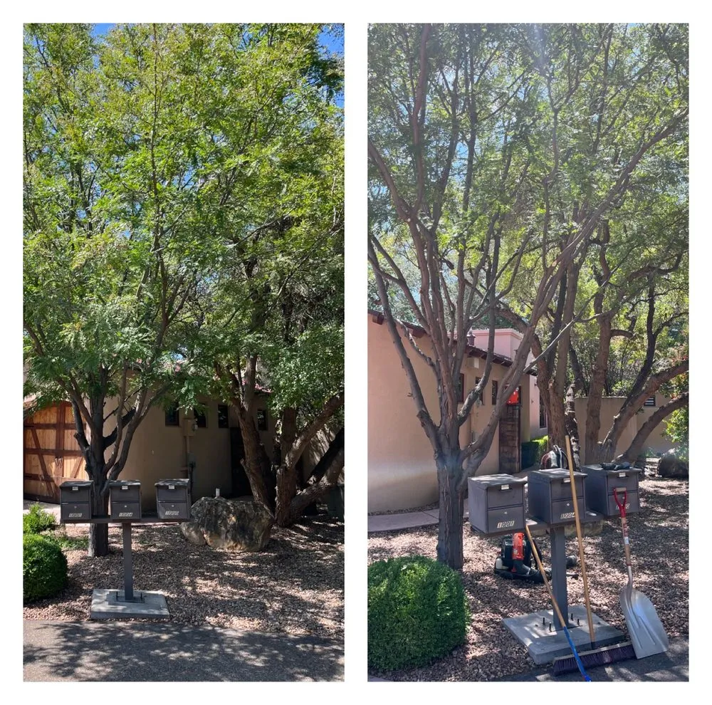 Top-rated outdoor landscaping experts serving Albuquerque, NM - Sierra Bella Landscaping