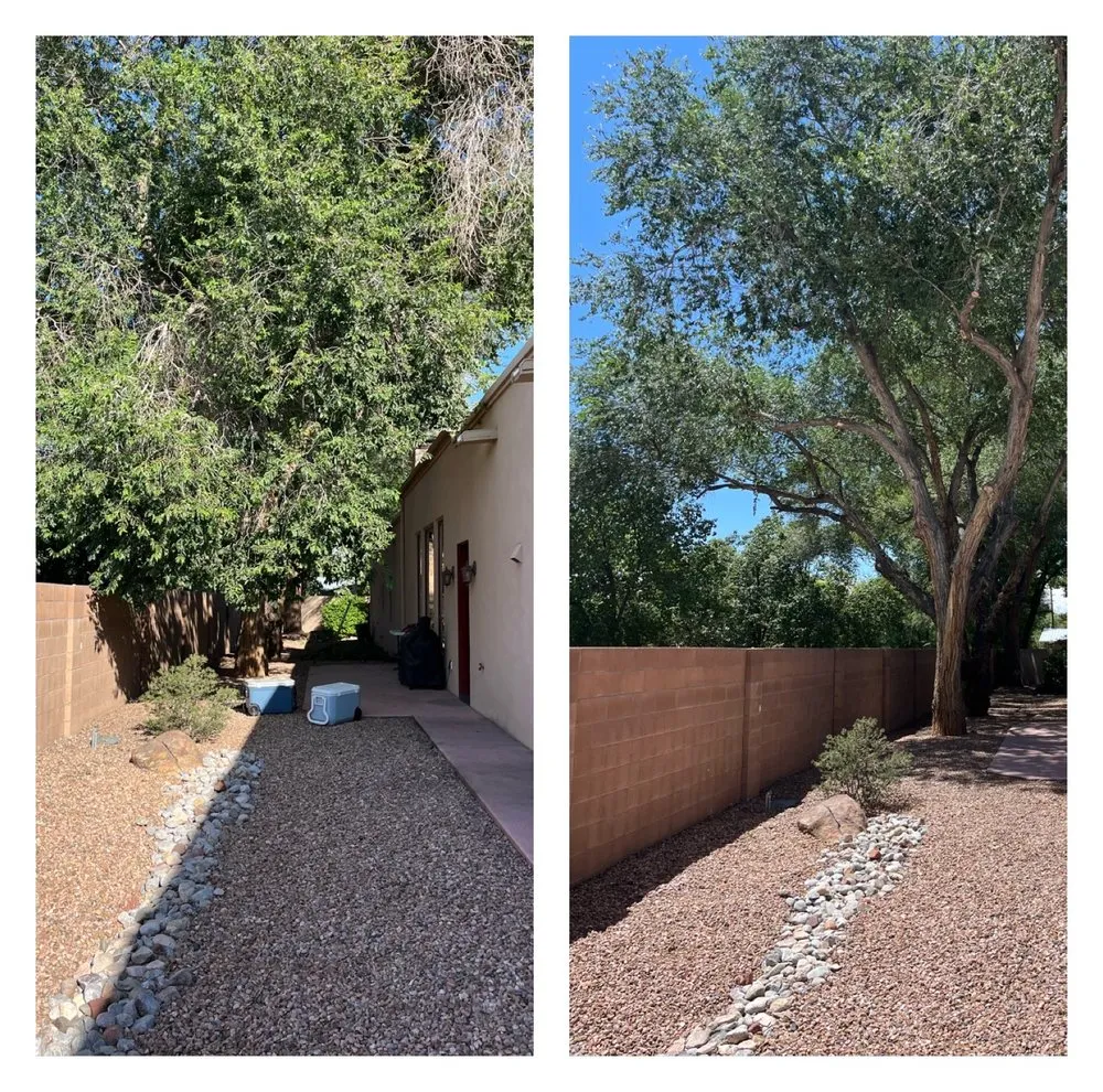 Local lawn mowing service experts serving Albuquerque, NM - Sierra Bella Landscaping