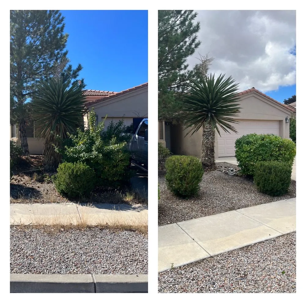 Professional garden landscaping experts serving Albuquerque, NM - Sierra Bella Landscaping