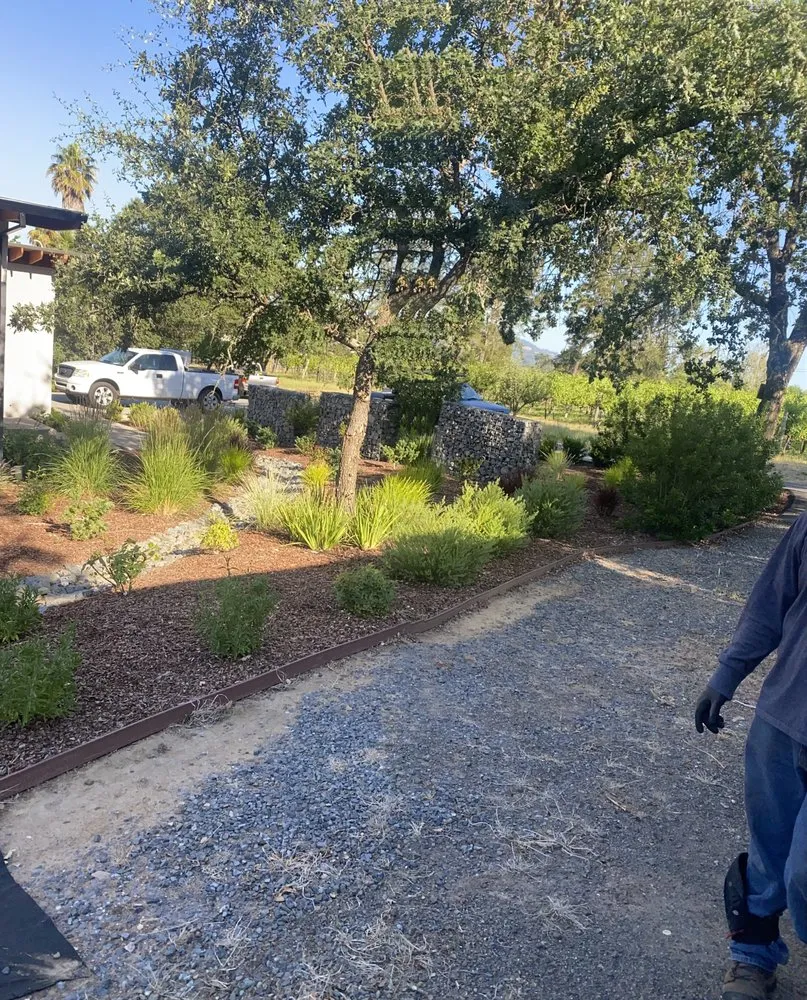 Top-rated residential landscaping experts serving Geyserville, CA - Sierra Gold Landscaping