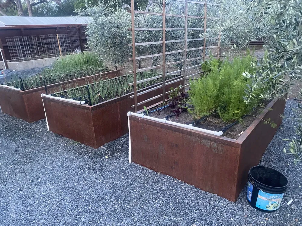Affordable yard maintenance in Geyserville, CA by Sierra Gold Landscaping