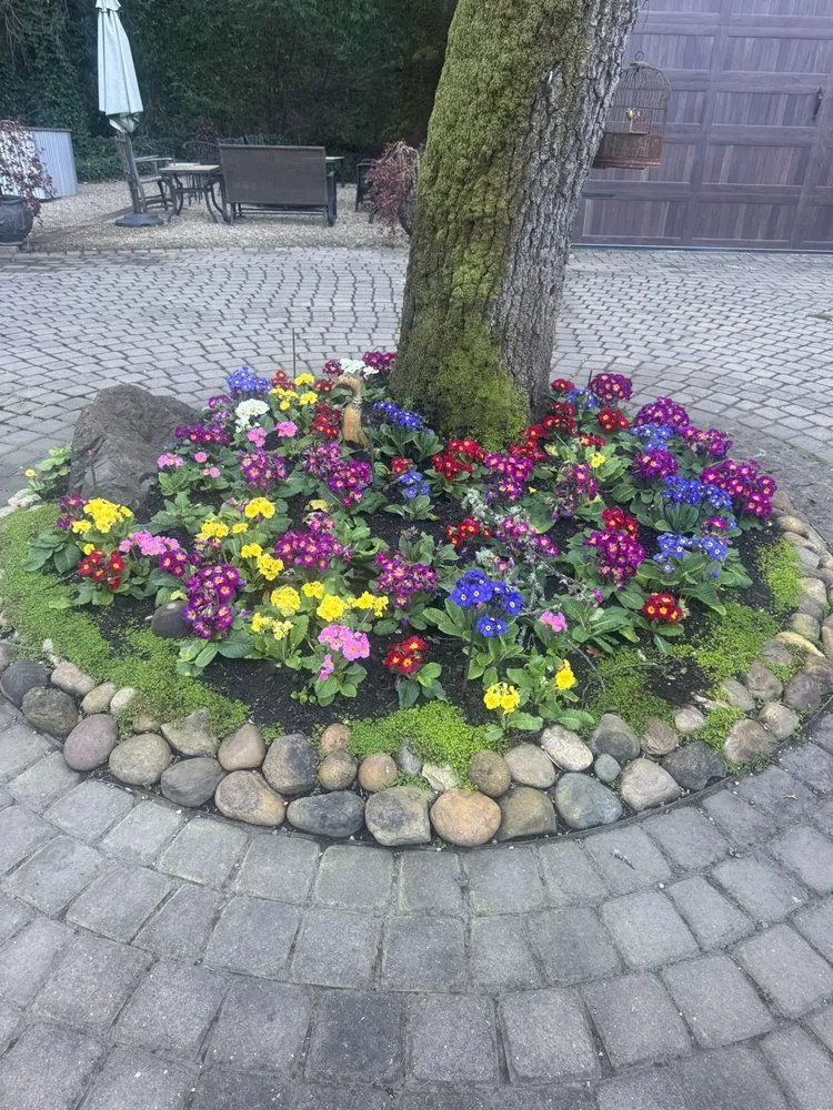 Local landscaping services in Geyserville, CA - Sierra Gold Landscaping