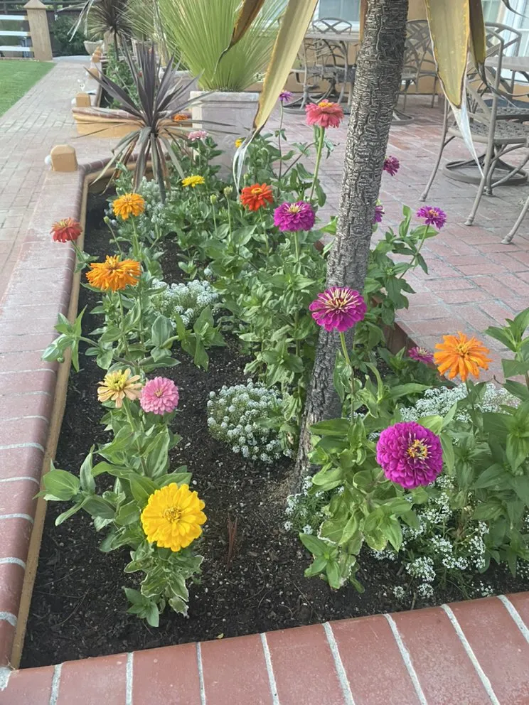 Affordable landscaping services for residential properties in Geyserville, CA by Sierra Gold Landscaping