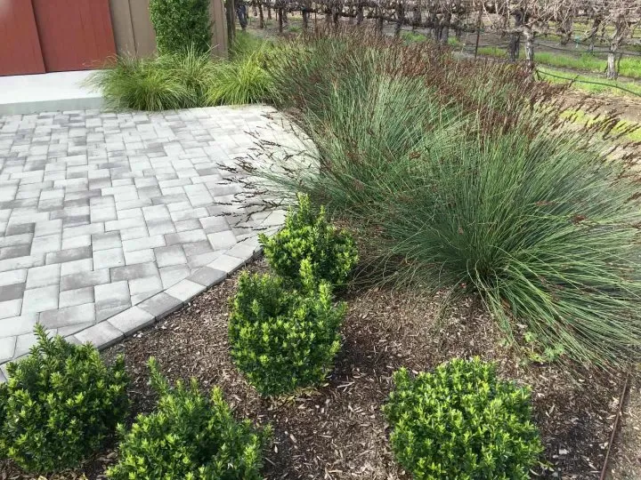 Trusted garden landscaping for outdoor upgrades in Geyserville, CA by Sierra Gold Landscaping