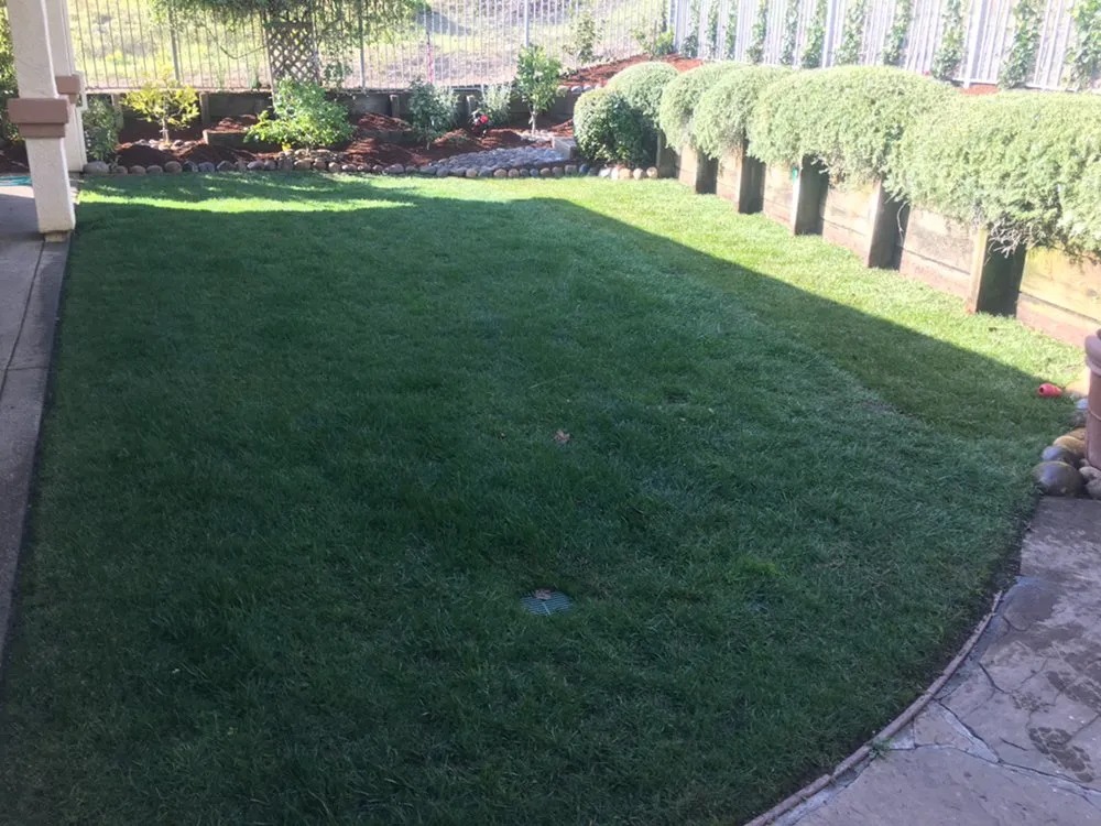 Expert yard cleanup service for residential properties across Geyserville, CA - Sierra Gold Landscaping