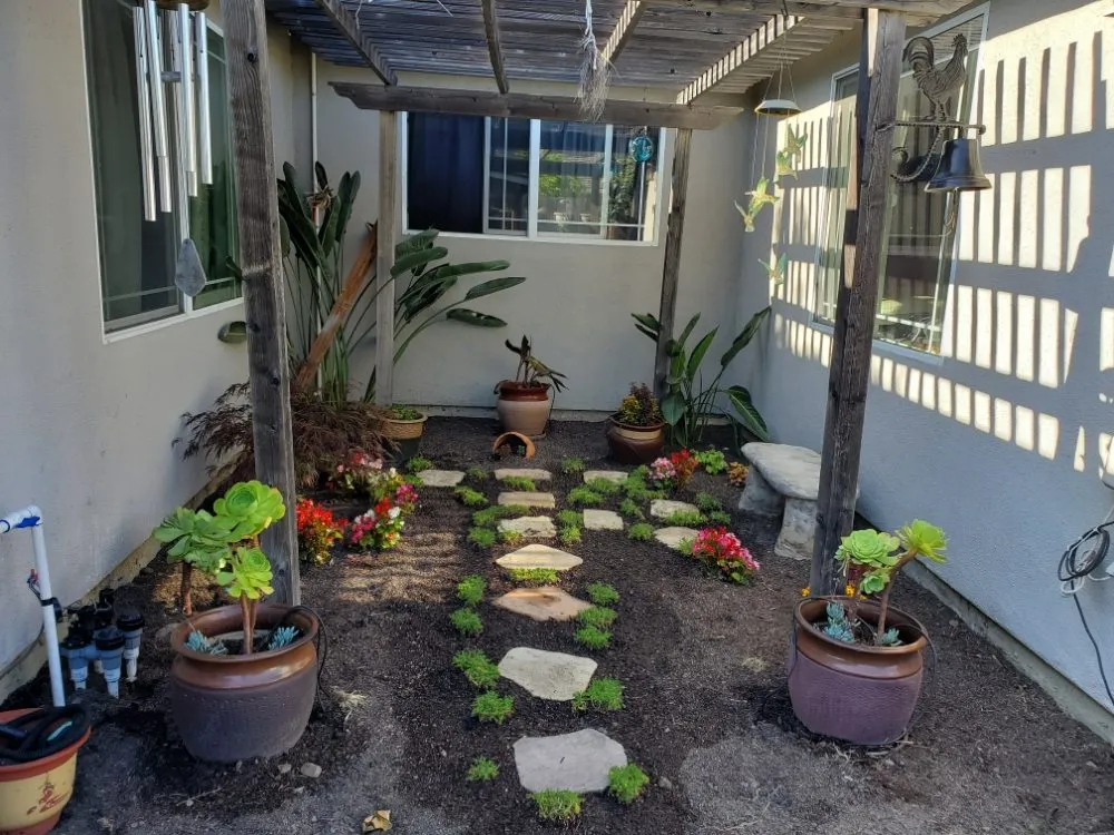 Trusted lawn care service for year-round maintenance in San Jose, CA by Sierra Hills Landscaping