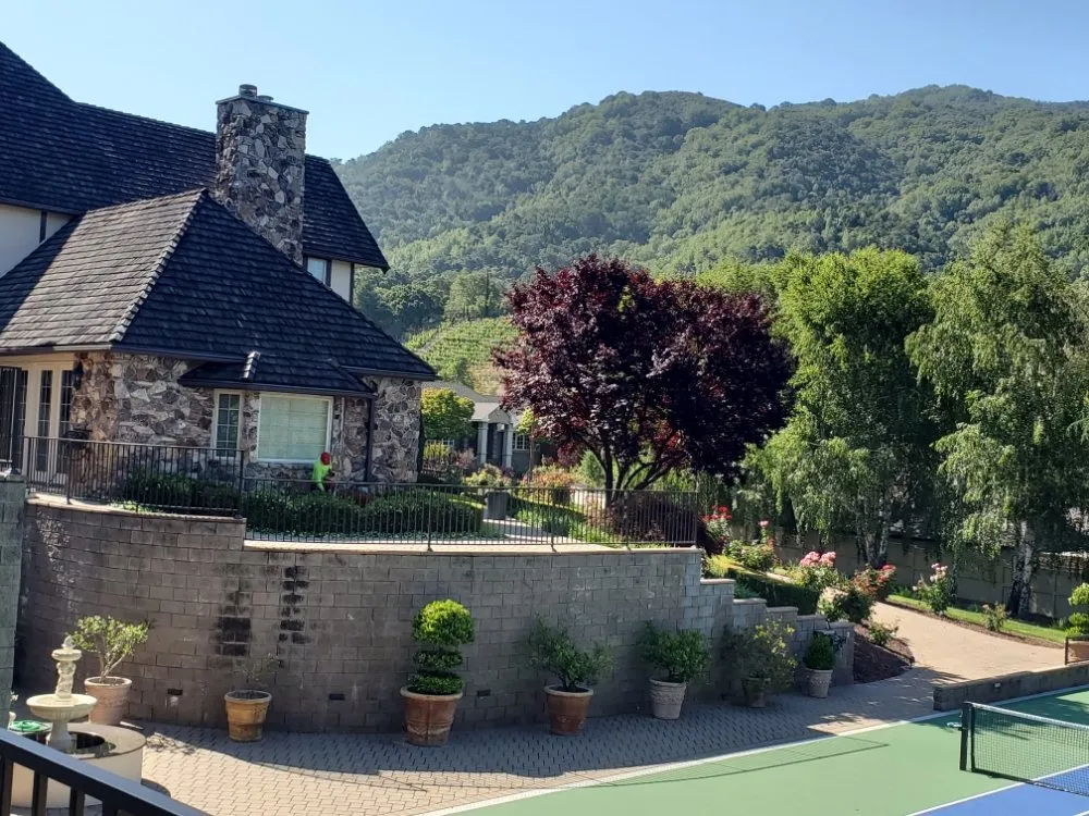 Expert lawn mowing service in San Jose, CA by Sierra Hills Landscaping