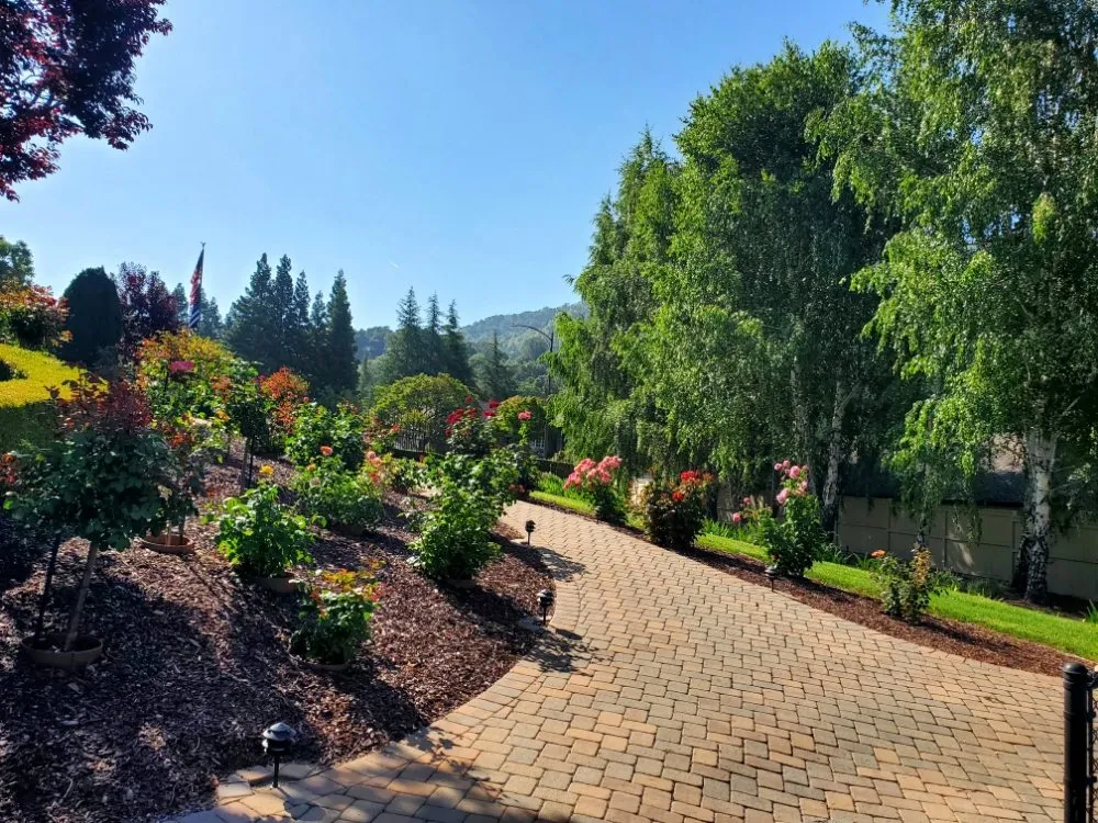 Professional landscaping services experts serving San Jose, CA - Sierra Hills Landscaping