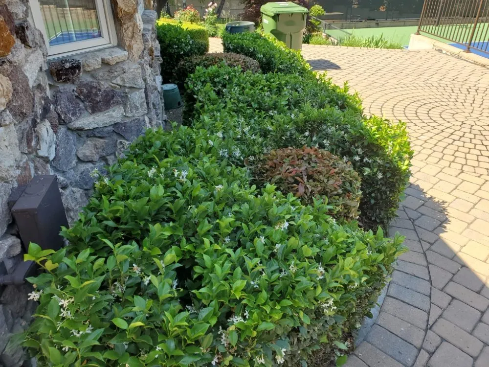 Affordable garden landscaping in San Jose, CA - Sierra Hills Landscaping