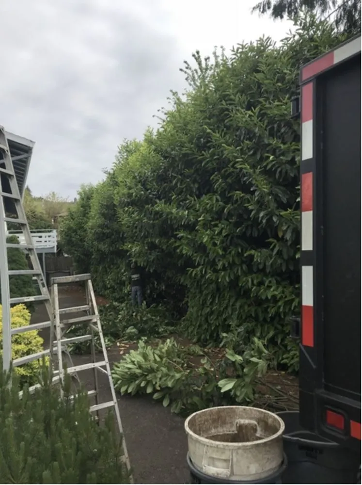 Reliable lawn care service in Dayton, OR by Sierra Lake Landscape Maintenance