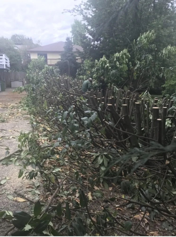 Reliable residential landscaping for homes in Dayton, OR by Sierra Lake Landscape Maintenance