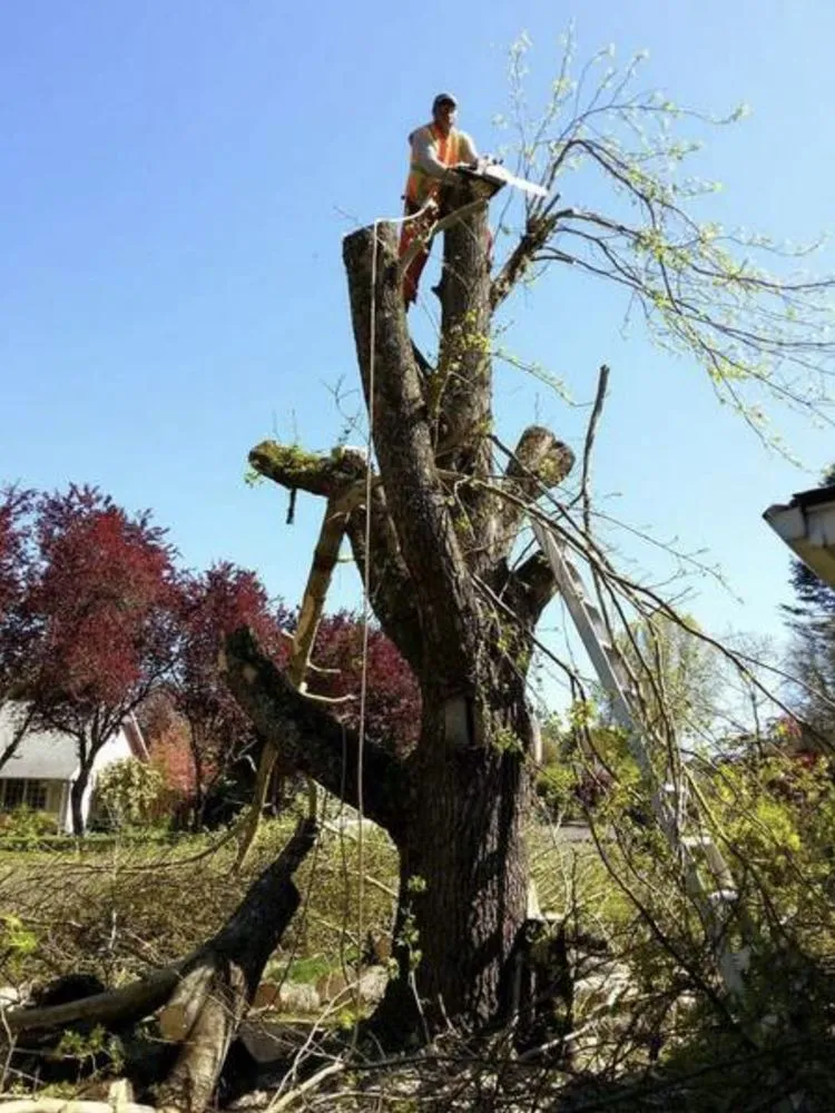 Reliable yard maintenance in Dayton, OR - Sierra Lake Landscape Maintenance