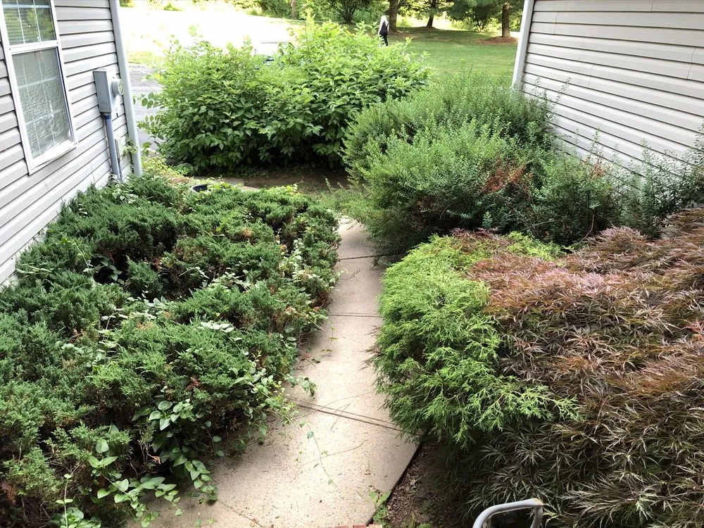 Top-rated residential landscaping in Middlesex, NJ by Sierra Landscape & Design