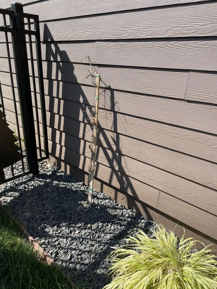 Top-rated yard cleanup service for outdoor upgrades across Sacramento, CA - Sierra Landscape & Maintenance