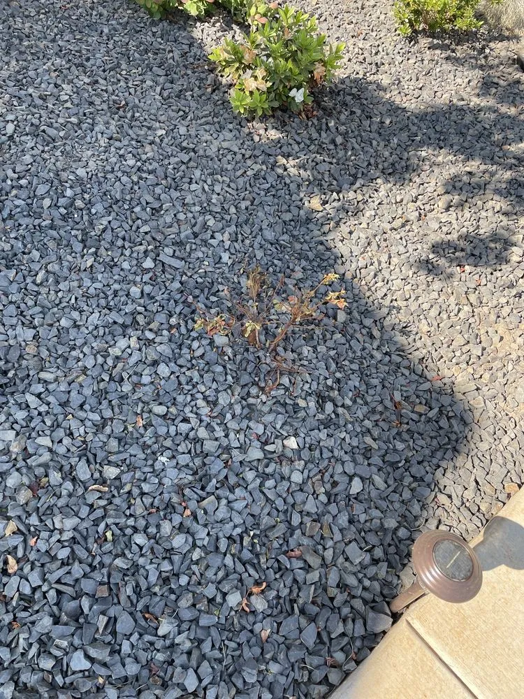 Expert yard cleanup service in Sacramento, CA - Sierra Landscape & Maintenance