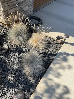 Sierra Landscape & Maintenance Logo