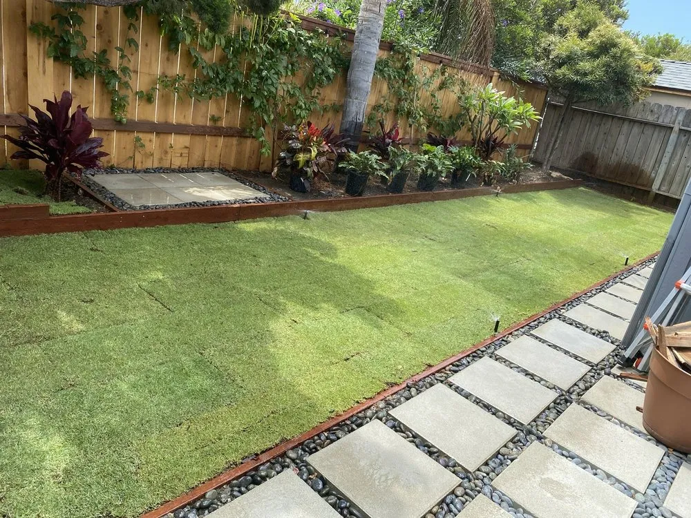 Professional yard maintenance near you in Escondido, CA by Sierra Landscape Construction