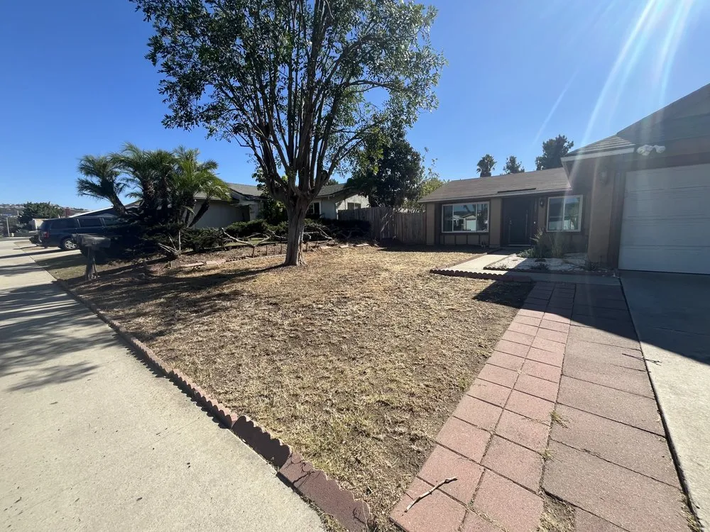 Affordable yard cleanup service in Escondido, CA - Sierra Landscape Construction