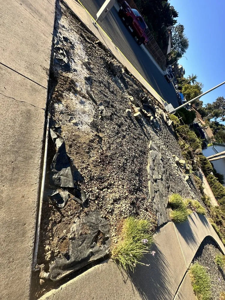 Custom yard maintenance experts serving Escondido, CA - Sierra Landscape