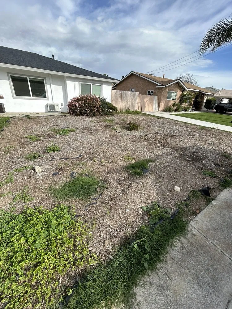 Affordable outdoor landscaping in Escondido, CA - Sierra Landscape