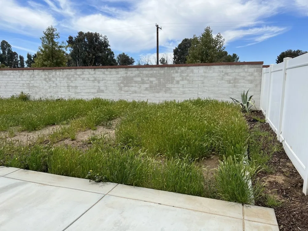 Professional landscaping services in Escondido, CA by Sierra Landscape