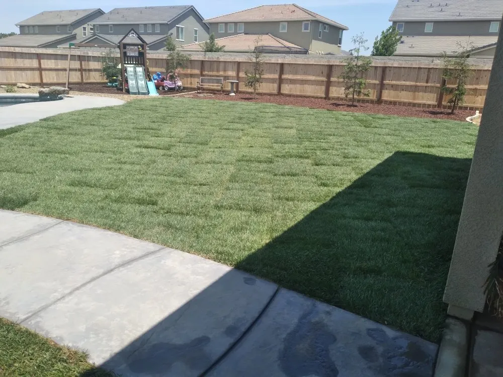 Local landscape installation in Los Banos, CA by Sierra Landscape