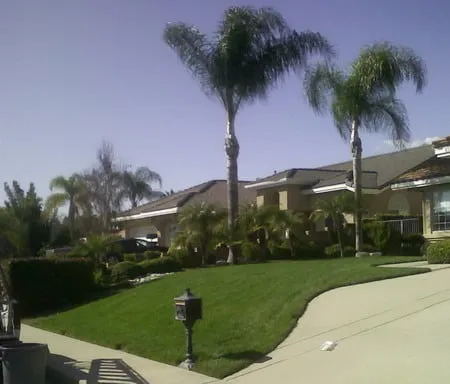 Local landscape installation in Claremont, CA - Sierra Landscape Maintenance