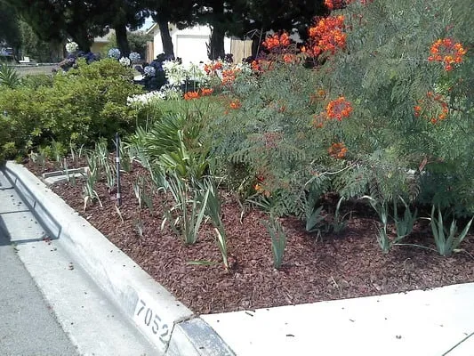 Affordable landscape installation with custom design across Claremont, CA - Sierra Landscape Maintenance