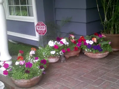 Professional landscape installation with custom design across Claremont, CA - Sierra Landscape Maintenance