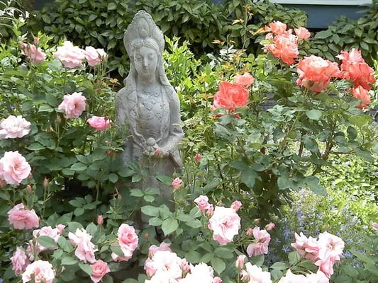 Sierra Landscape Maintenance