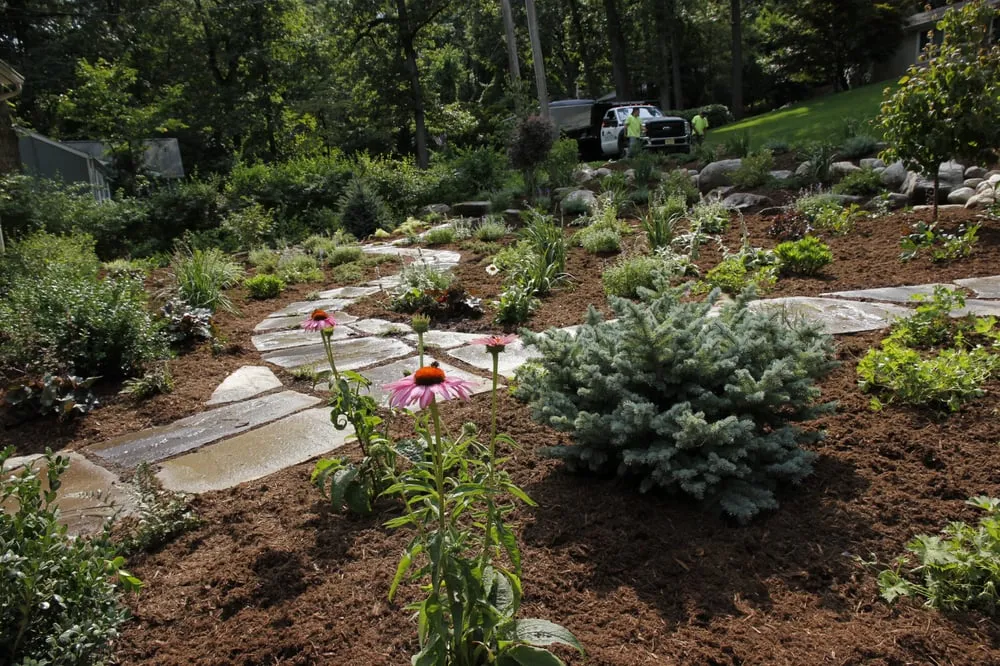 Trusted lawn care service in Newton, NJ by Sierra Landscape Management