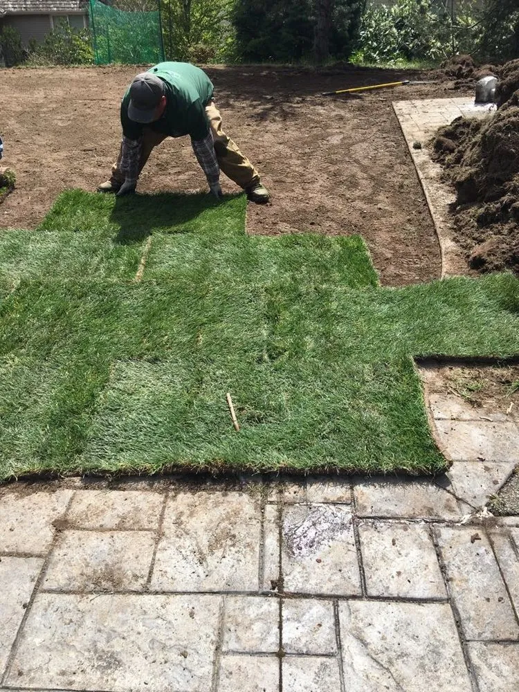 Custom outdoor landscaping in Newcastle, WA - Sierra Landscape