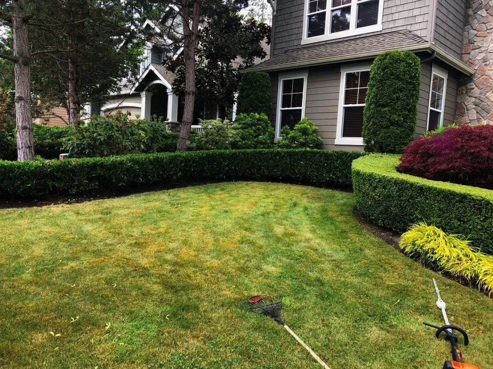 Affordable landscape design in Newcastle, WA - Sierra Landscape