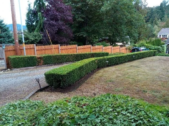 Local garden landscaping experts serving Newcastle, WA - Sierra Landscape