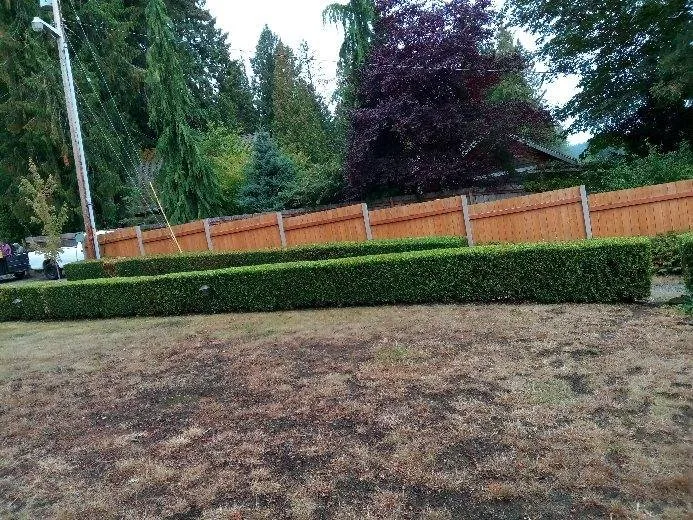 Affordable landscape design in Newcastle, WA - Sierra Landscape