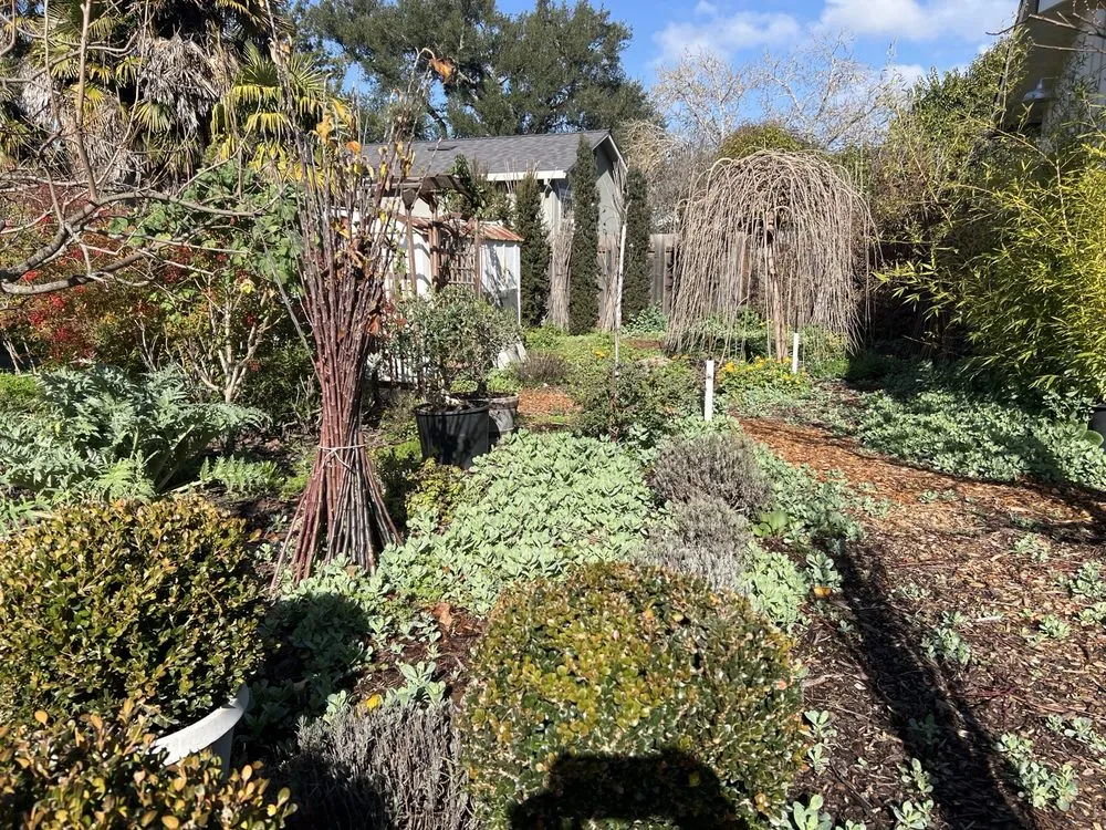 Reliable outdoor landscaping experts serving Napa, CA - Sierra Landscape Services