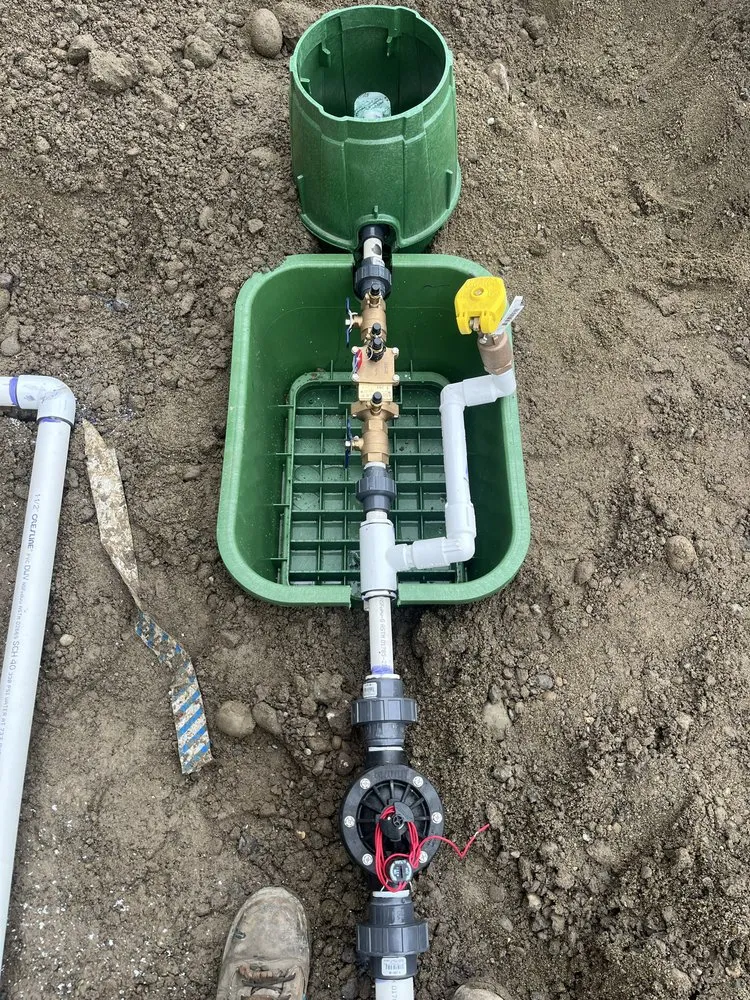 Top-rated yard cleanup service in Tacoma, WA - Sierra Landscape