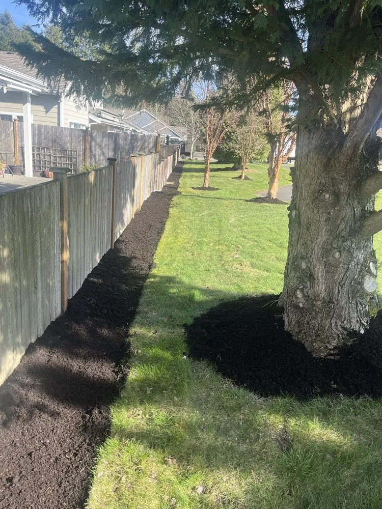 Local yard maintenance in Tacoma, WA - Sierra Landscape
