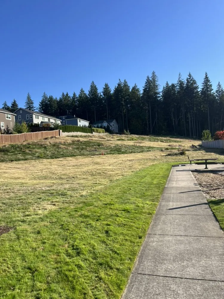 Reliable landscaping services in Tacoma, WA - Sierra Landscape