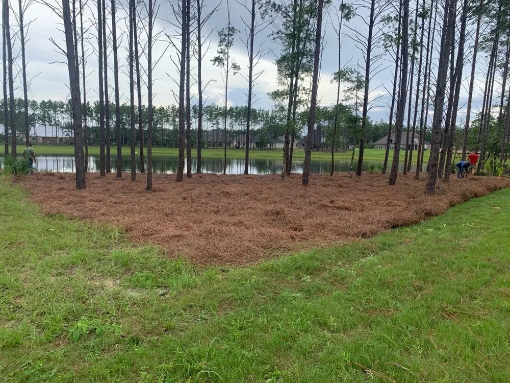 Affordable lawn mowing service for outdoor upgrades across Crestview, FL - Sierra Landscaping