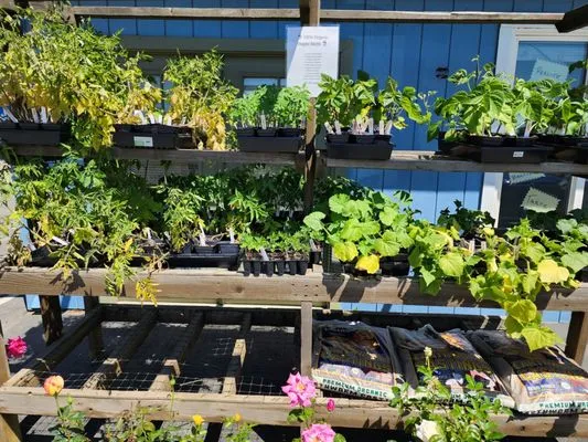 Sierra Landscaping Materials, Inc.