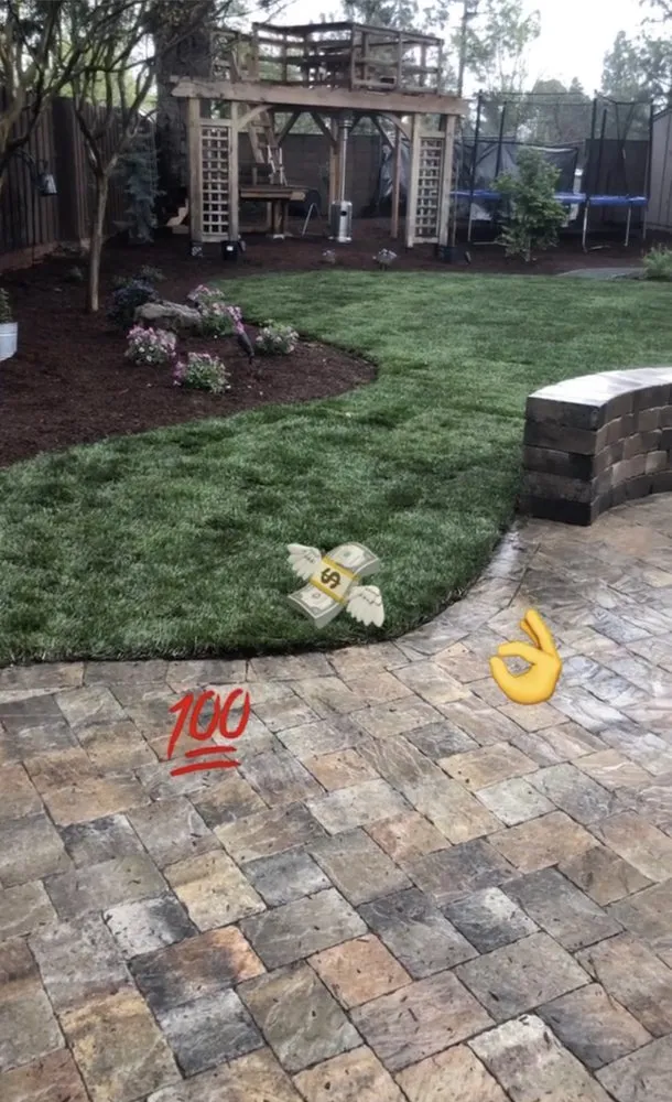 Expert garden landscaping for beautiful yards across Modesto, CA - Sierra landscaping