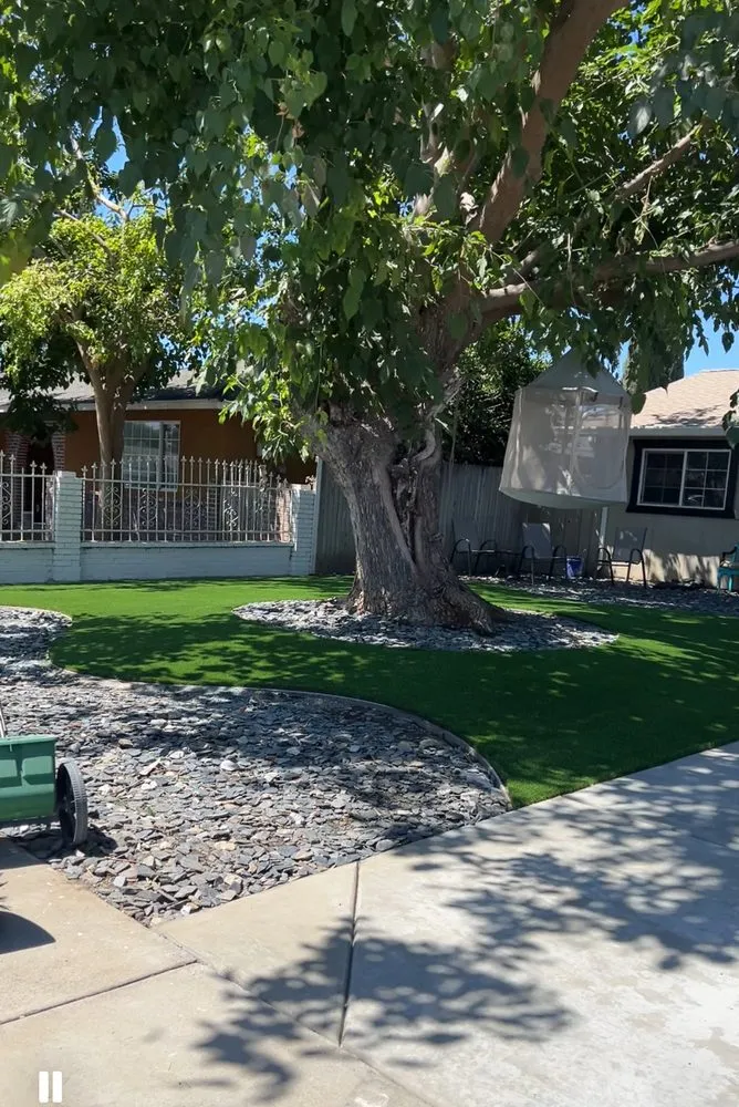 Affordable landscape design in Modesto, CA - Sierra landscaping