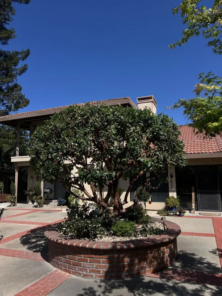 Expert landscape design experts serving Modesto, CA - Sierra landscaping