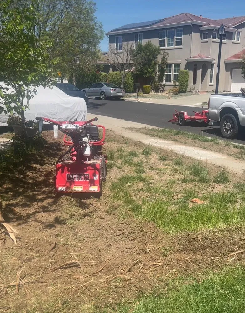 Expert yard maintenance near you in Modesto, CA by Sierra landscaping